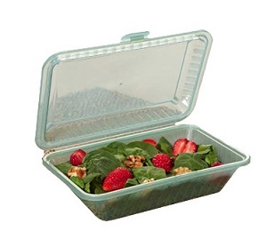 ECO TAKE-OUT CONTAINER-9&quot;X6.5&quot; REUSABLE-BPA FREE