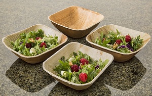 SQUARE BOWL-6&quot;-10/PACK
DISPOSABLE-100% GREEN AND  
SUSTAINABLE